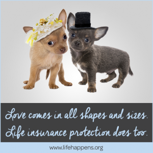 Graphic_Inspiration_love_puppies